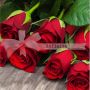 Hot Red Roses 